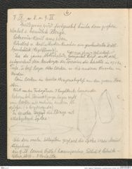 Seite 8, Tagebuch "Paläolithstation | Lang-Mannersdorf | Parzelle 1329" (NHMW-PRAE-BBB-18)